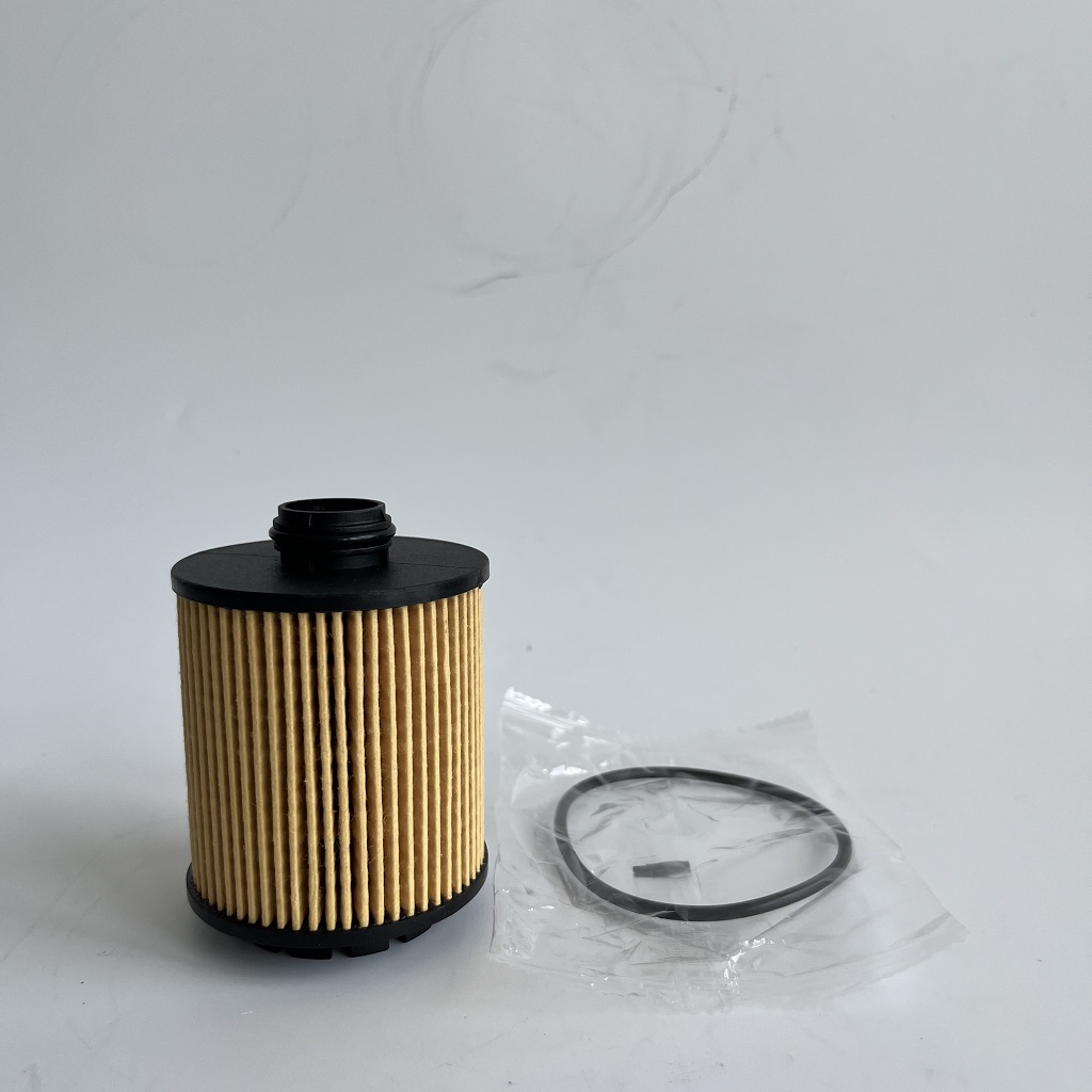 HU7043Z 1612565980 পেটজোটের জন্য তেল ফিল্টার